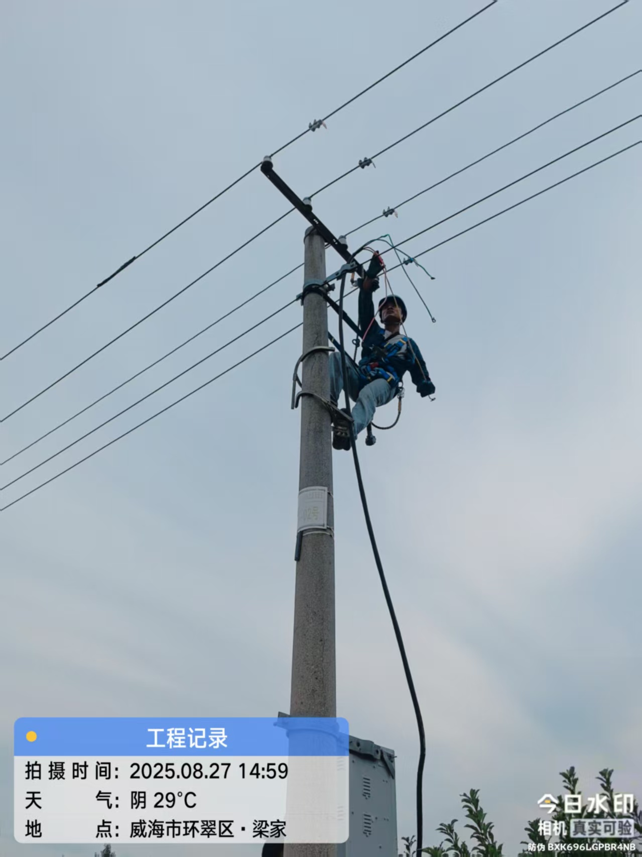 c617309b3c03bcb7b1229eafff74e62c.jpg