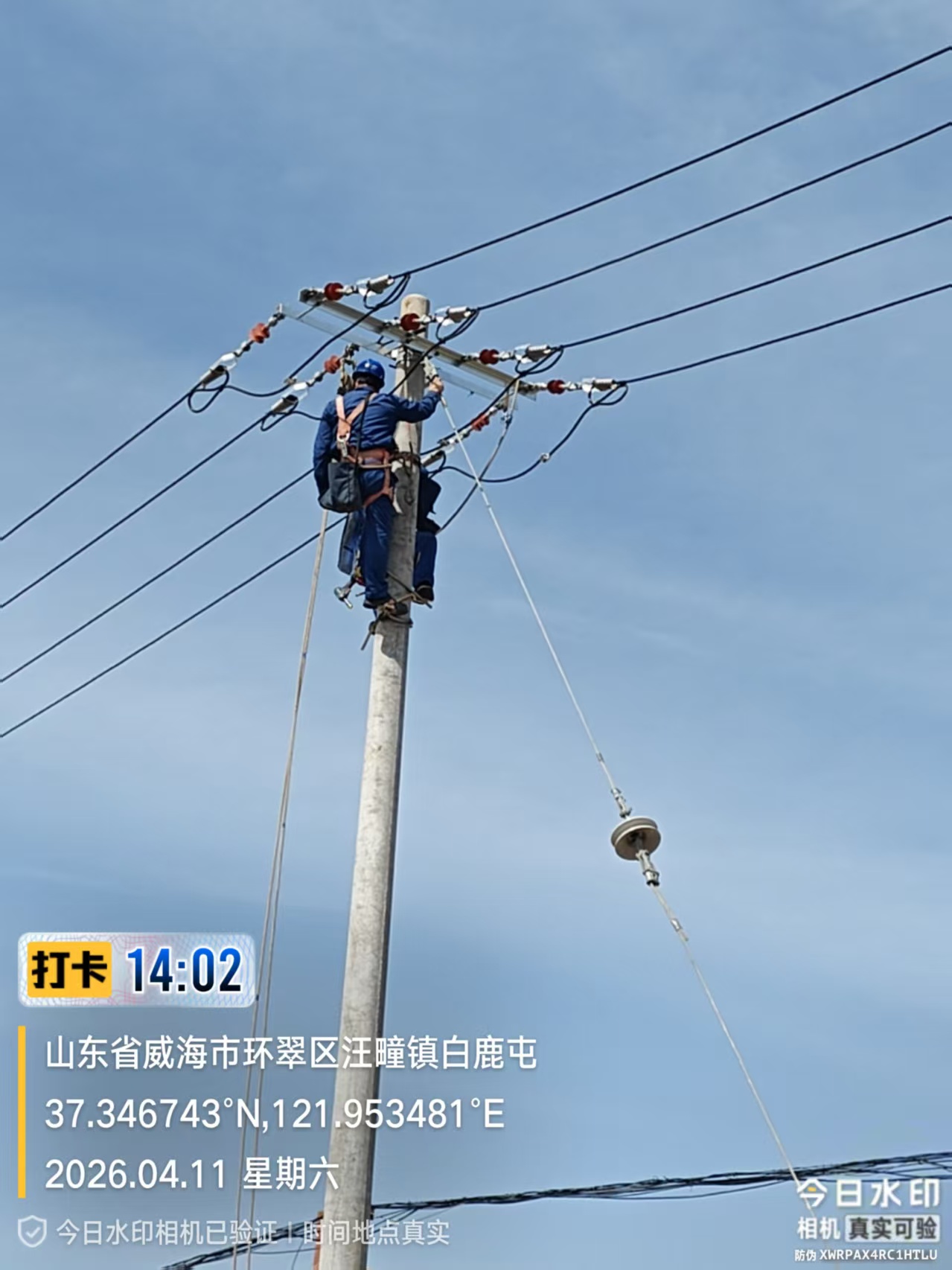 5618203d3d2a4870abb2423f312c93ae.jpg